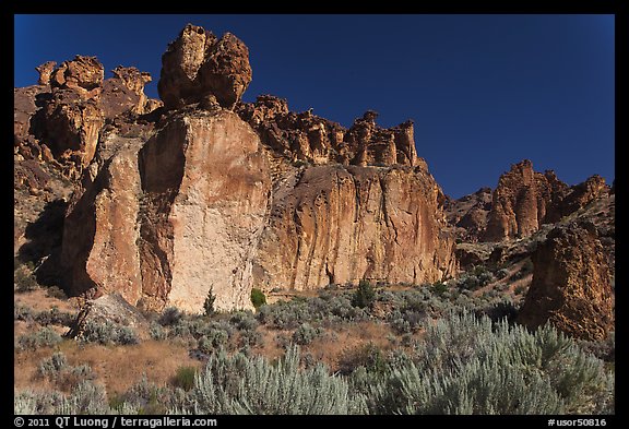 Volcanic cliffs, Leslie Gulch BLM National Backcountry Byway. Oregon, USA (color)
