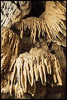 Stalactites, Oregon Caves National Monument. Oregon, USA ( color)