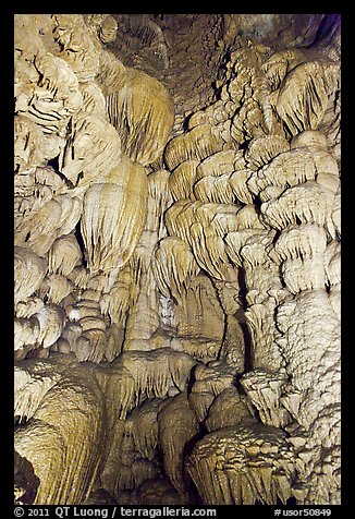 Flowstone, Oregon Caves National Monument. Oregon, USA