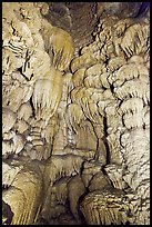 Flowstone, Oregon Caves National Monument. Oregon, USA ( color)