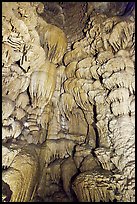 Flowstone, Oregon Caves National Monument. Oregon, USA (color)