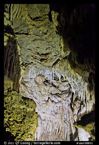 Close-up of flowstone, Oregon Caves. Oregon, USA