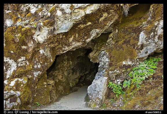 Cave entrance, Oregon Caves National Monument. Oregon, USA (color)
