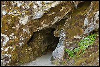 Cave entrance, Oregon Caves National Monument. Oregon, USA (color)
