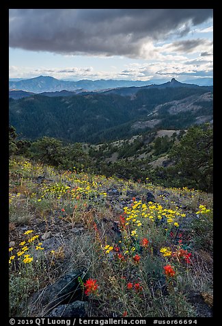 Wildflowers and distant Pilot Rock. Cascade Siskiyou National Monument, Oregon, USA (color)