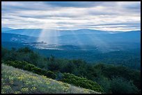 God's rays over Keene Creek Ridge. Cascade Siskiyou National Monument, Oregon, USA ( color)