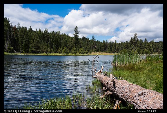 Fallen tree and Little Hyatt Reservoir. Cascade Siskiyou National Monument, Oregon, USA (color)