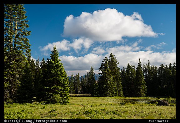 Meadow and clouds near Grizzly Peak. Cascade Siskiyou National Monument, Oregon, USA (color)