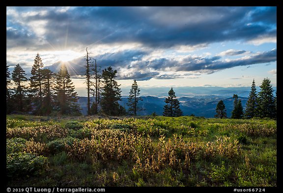 Meadow, sun, and view over mountains near Grizzly Peak. Cascade Siskiyou National Monument, Oregon, USA