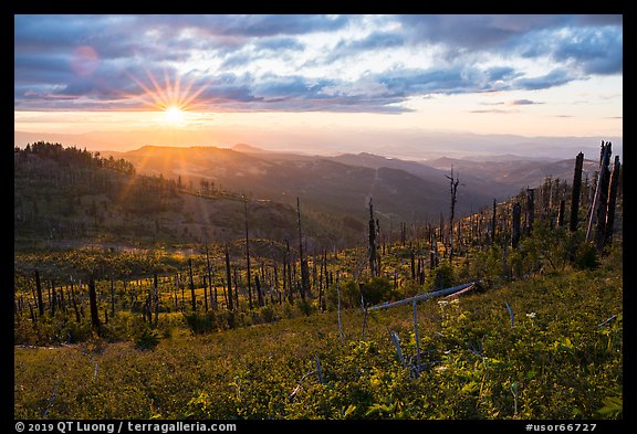 Sun setting over Burned forest, Grizzly Peak. Cascade Siskiyou National Monument, Oregon, USA (color)