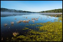 Hyatt Lake. Cascade Siskiyou National Monument, Oregon, USA ( color)