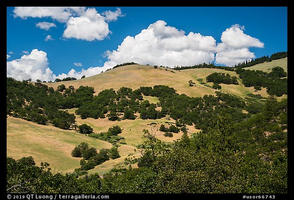 Hills with Oak woodlands, Emigrant Creek Area. Cascade Siskiyou National Monument, Oregon, USA (color)