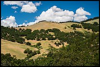 Hills with Oak woodlands, Emigrant Creek Area. Cascade Siskiyou National Monument, Oregon, USA ( color)