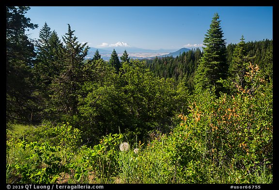 Soda Mountain Wilderness and Mount Shasta. Cascade Siskiyou National Monument, Oregon, USA (color)