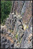 Close up of columns of basalt on Pilot Rock. Cascade Siskiyou National Monument, Oregon, USA ( color)