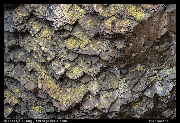 Detail of balsalt rock and lichen, Pilot Rock. Cascade Siskiyou National Monument, Oregon, USA (color)