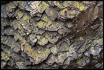 Detail of balsalt rock and lichen, Pilot Rock. Cascade Siskiyou National Monument, Oregon, USA ( color)