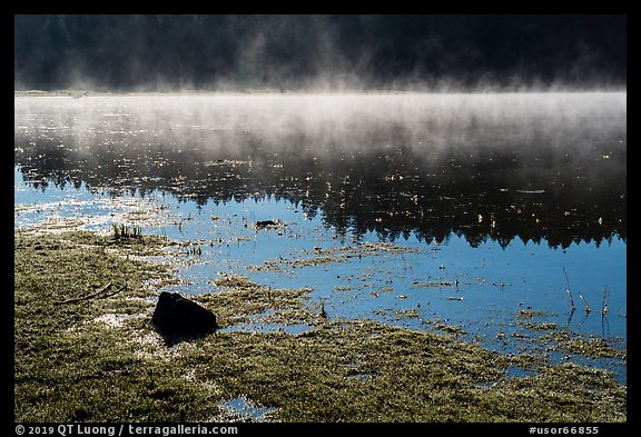 Fog and sunlight, Hyatt Lake. Cascade Siskiyou National Monument, Oregon, USA (color)