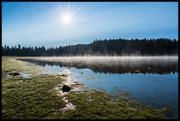 Sun and fog rising of Hyatt Lake. Cascade Siskiyou National Monument, Oregon, USA ( color)