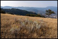 Meadow and Rogue Valley, Green Springs Mountain. Cascade Siskiyou National Monument, Oregon, USA ( color)