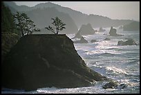 Coastline with rocks and seastacks, Samuel Boardman State Park. Oregon, USA ( color)