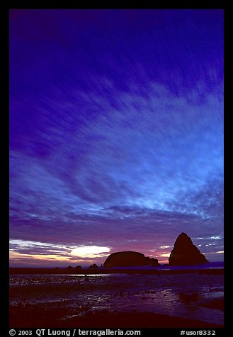 Seastack at sunset. Oregon, USA (color)