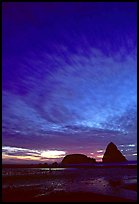 Seastack at sunset. Oregon, USA (color)