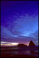 Seastack at sunset. Oregon, USA