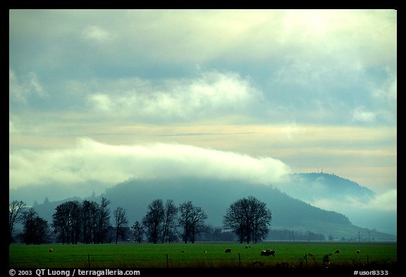 Trees and foothills. Oregon, USA (color)