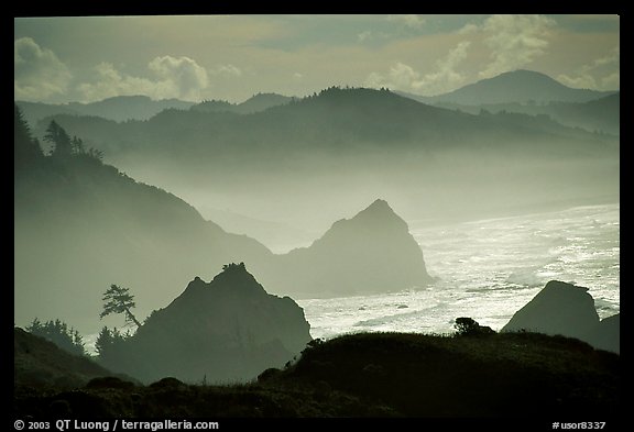 Rugged Coastline, late afternoon, Hamburg Mountain State Park. Oregon, USA