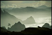 Rugged Coastline, late afternoon, Hamburg Mountain State Park. Oregon, USA