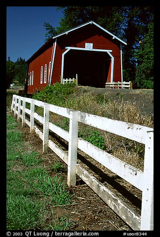 Fence and red covered bridge, Willamette Valley. Oregon, USA (color)