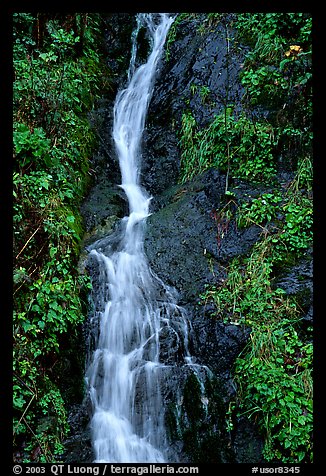 Waterfall, Hamburg Mountain State Parke. Oregon, USA