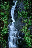 Waterfall, Hamburg Mountain State Parke. Oregon, USA (color)