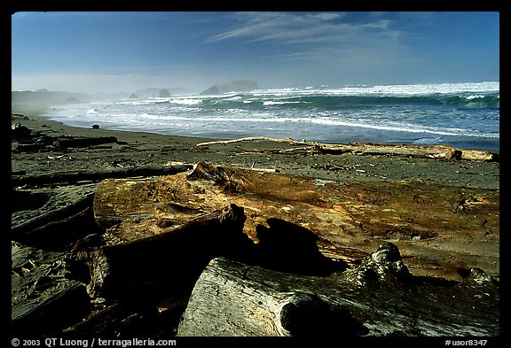 Beach with driftwood. Bandon, Oregon, USA (color)