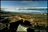 Beach with driftwood. Bandon, Oregon, USA