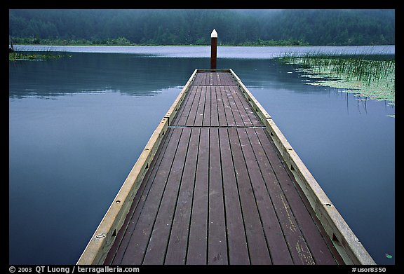 Deck in a coastal lagoon. Oregon, USA