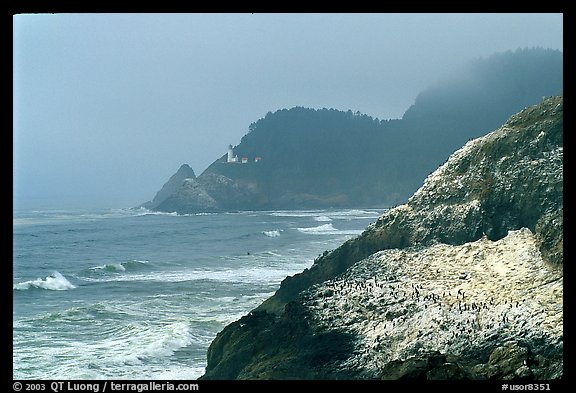 Rock with birds in fog,  Haceta Head in the background. Oregon, USA (color)
