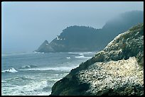 Rock with birds in fog,  Haceta Head in the background. Oregon, USA