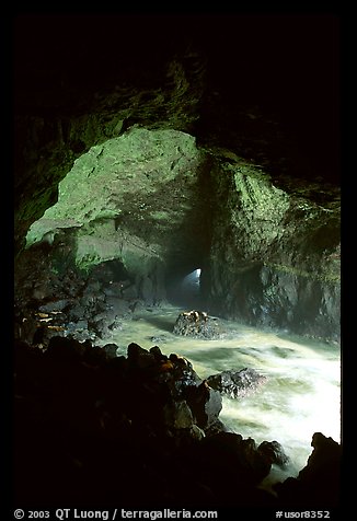 Sea Lion cave. Oregon, USA