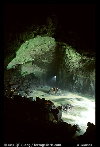 Sea Lion cave. Oregon, USA (color)