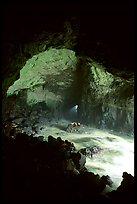 Sea Lion cave. Oregon, USA (color)