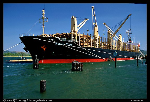 Cargo ship loading floated timber. Oregon, USA