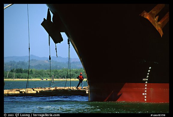 Cargo ship loading floated timber, Coos Bay. Oregon, USA