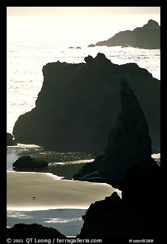 Seastacks, reflections, and beach, late afternoon. Bandon, Oregon, USA (color)