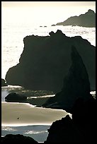 Seastacks, reflections, and beach, late afternoon. Bandon, Oregon, USA (color)