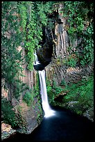 Toketee Falls  and wall of columnar balsalt. Oregon, USA (color)