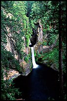 Toketee Falls. Oregon, USA