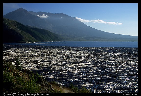 Blown trees float on Spirit Lake, late afternoon. Mount St Helens National Volcanic Monument, Washington (color)