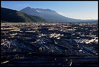 Enormousn tree mat cover Spirit Lake, and Mt St Helens. Mount St Helens National Volcanic Monument, Washington (color)